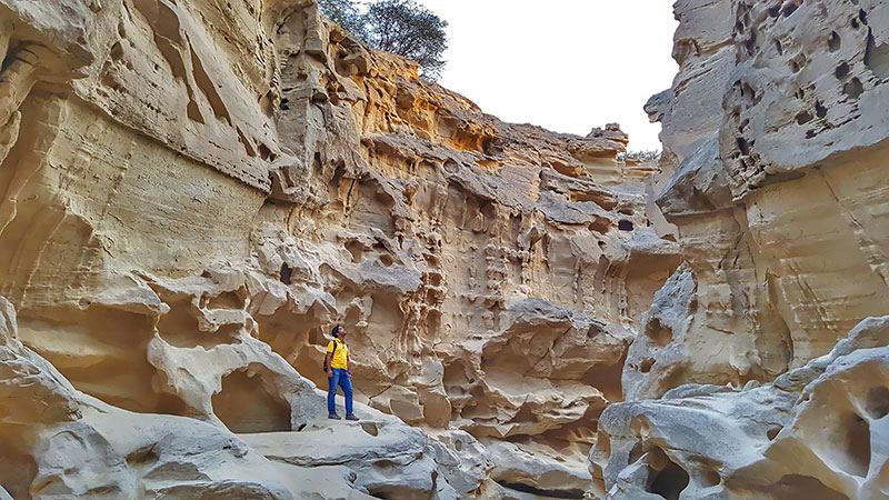 Qeshm, the Heaven of Geotourism in The Middle East