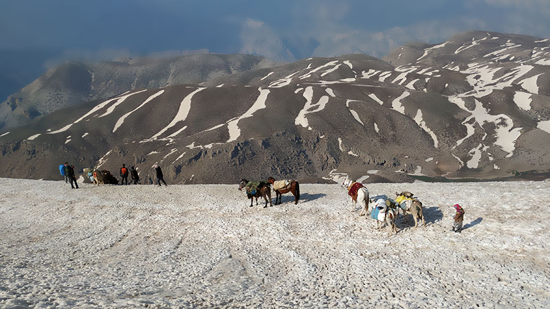 A Migration Journey with Iran Nomads