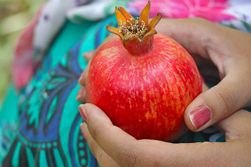 Pomegranate